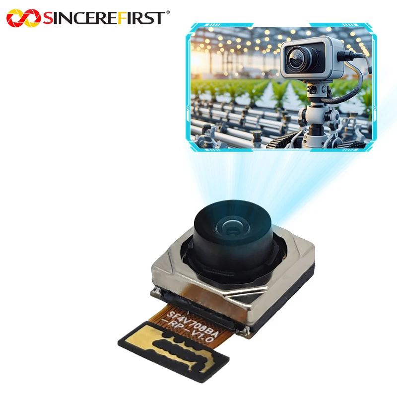 product-800-800